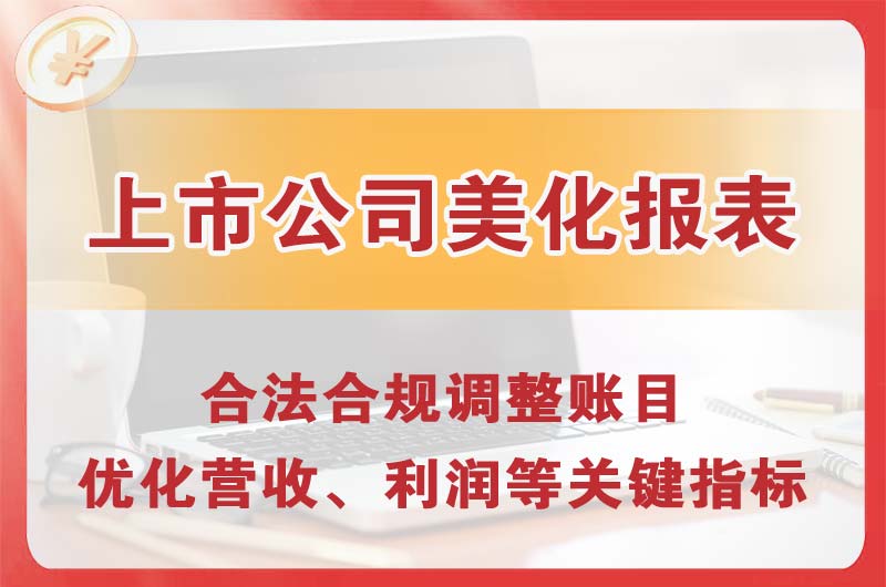 文山上市公司美化报表